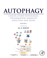 Cover for Autophagy: Cancer, Other Pathologies, Inflammation, Immunity, Infection, and Aging