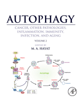 Cover for Autophagy: Cancer, Other Pathologies, Inflammation, Immunity, Infection, and Aging