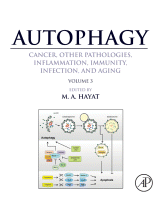 Cover for Autophagy: Cancer, Other Pathologies, Inflammation, Immunity, Infection, and Aging
