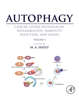 Cover for Autophagy: Cancer, Other Pathologies, Inflammation, Immunity, Infection, and Aging