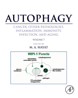 Cover for Autophagy: Cancer, Other Pathologies, Inflammation, Immunity, Infection, and Aging