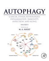 Cover for Autophagy: Cancer, Other Pathologies, Inflammation, Immunity, Infection, and Aging