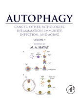 Cover for Autophagy: Cancer, Other Pathologies, Inflammation, Immunity, Infection, and Aging