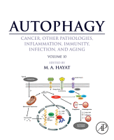 Cover for Autophagy: Cancer, Other Pathologies, Inflammation, Immunity, Infection, and Aging