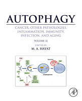 Cover for Autophagy: Cancer, Other Pathologies, Inflammation, Immunity, Infection, and Aging